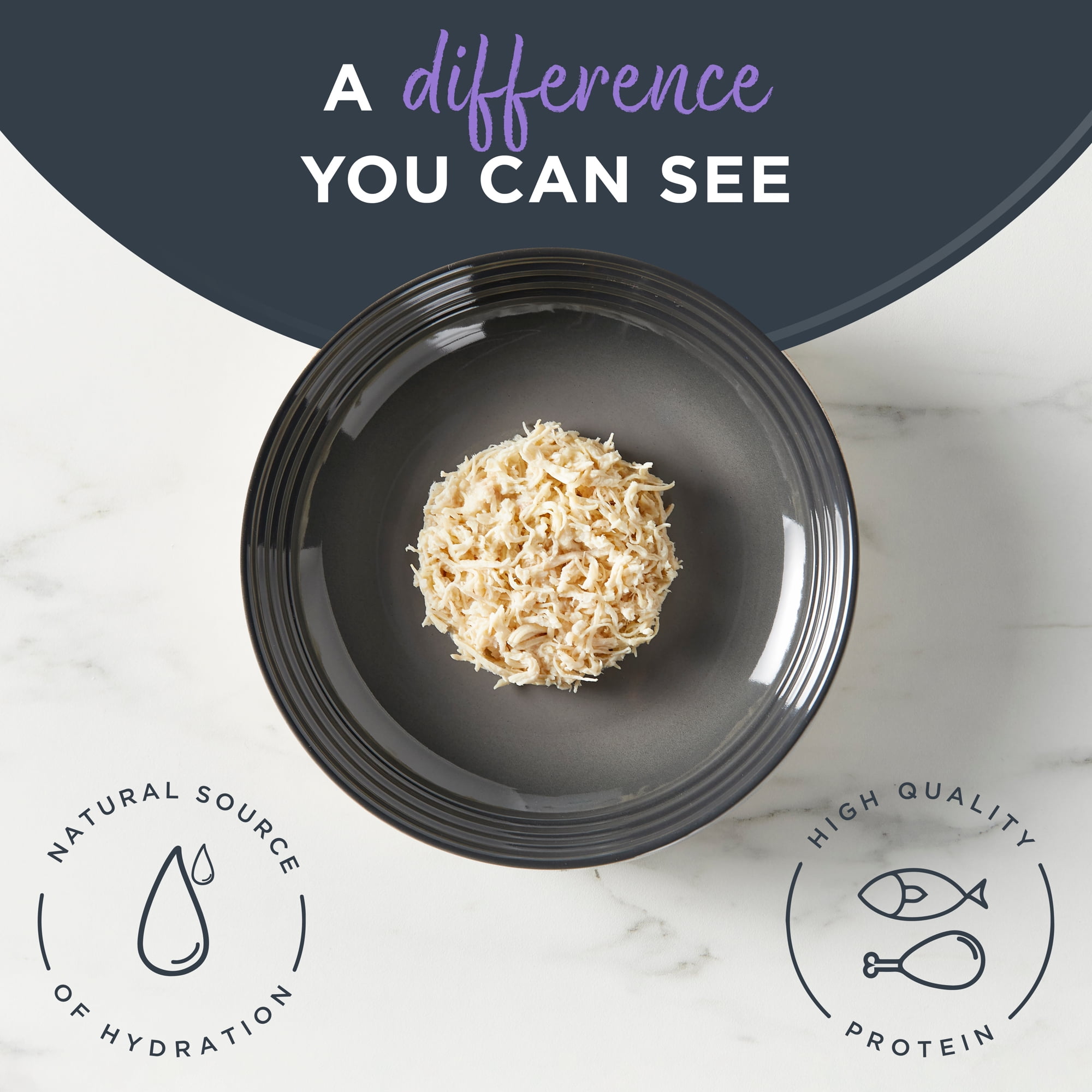 Reveal Pet Food Natural Wet Cat Food Variety Selection in Br