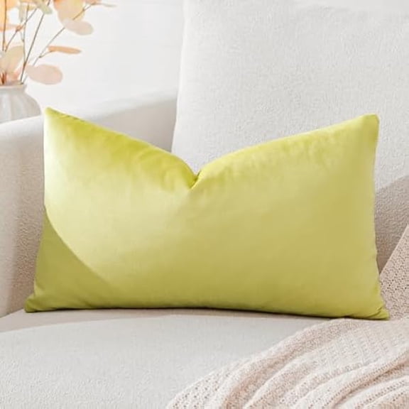 Eryueer Luxury Velvet Cushion Covers Super Soft Decorative Rectangle Throw Pillow Covers Case Cushion Covers for Sofa Couch Bedroom Car Decor 40x60cm Lemon Yellow