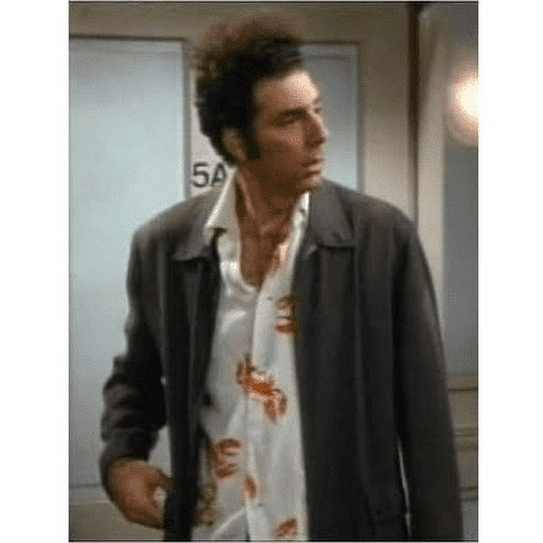 Cosmo Kramer Mens Wig Seinfeld Brown Curly Michael Richards Costume Hair