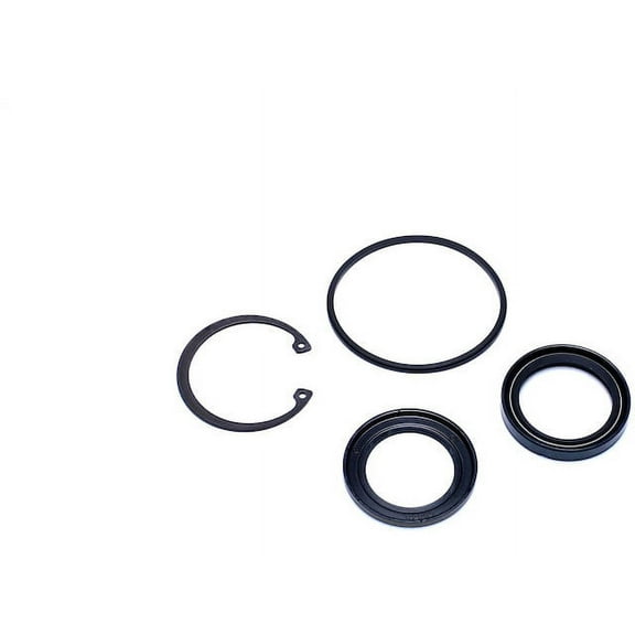 Steering Gear Pitman Shaft Seal Kit - Compatible with 1999 - 2004 Ford F-250 Super Duty 2000 2001 2002 2003