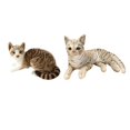 thumbnail image 1 of 2 piezas de almohada realista para gato, juguetes de peluche para dormitorio infantil, fiesta Estilo A, 1 of 9