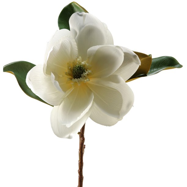 D&W Silks Cream Magnolia Set of 3