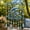 B, variant on Ocean-Themed Crystal Wind Chime, Outdoor Hanging Patio Window Coastal Decor for Men Women(RL D)