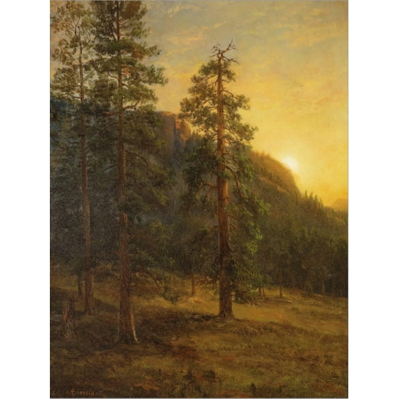 Art.com California Redwoods, 1872 Stretched Canvas Print Wall Art by Albert Bierstadt, 12" x 16"