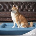 thumbnail image 7 of Ibiyaya FB2292-M-B Deep Sleep Orthopedic Dog Bed, Royal Blue - Medium, 7 of 7