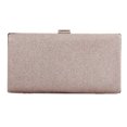 thumbnail image 2 of Bolsa Bolso de noche para mujer Elegante monedero de noche con encuadernación para banquete de fiesta (champán) Tmvgtek Para estrenar, 2 of 9