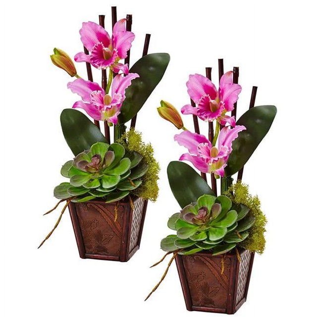 Nearly Natural 1445-S2-PP Cattleya Orchidée & Arrangement Succulent - Violet&44; Ensemble de 2