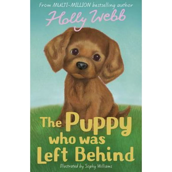 Pre-Owned The Puppy who was Left Behind (Holly Webb Animal Stories) (Paperback) 1847153739 9781847153739
