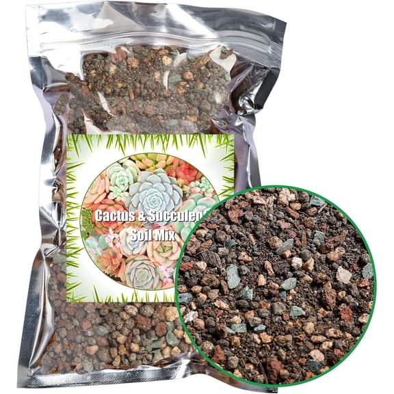 S ulent and Cactus Soil Potting Mix 2.2 LBS, Bonsai Soil Mix Ready to Use, Fast Draining with Added Nutrients