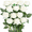 White, variant on 12PCS Artificial Silk Roses Bouquet, Realistic Fake Roses Long Stem Flowers for Vase, Wedding, Home, Party Table Centerpieces and Decorations