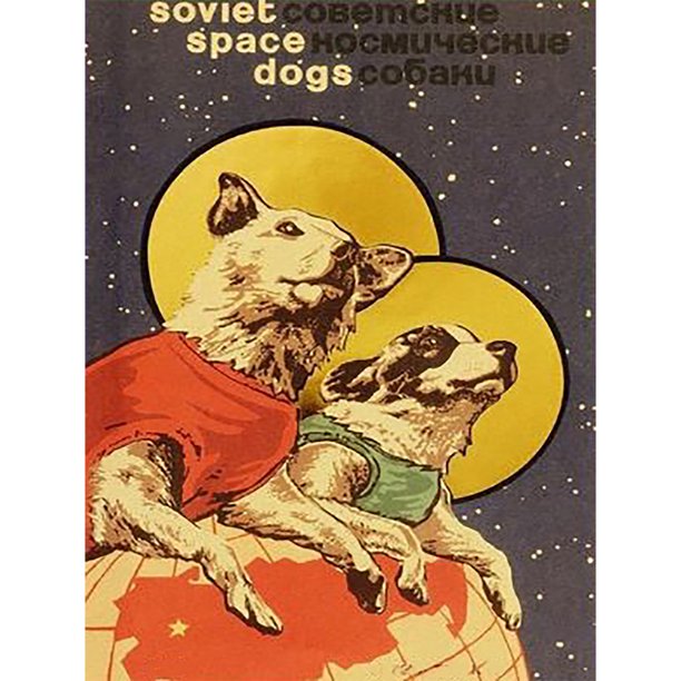 5D bricolaje taladro redondo completo diamante pintura esqueleto chica muerta arte decoración hecha a mano Tmvgtek decoración de arte en el hogar