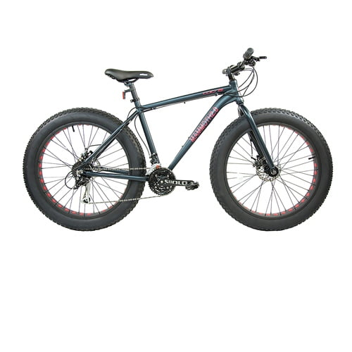 18 fat tire bike