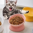 thumbnail image 5 of Ceramic Cat Bowls,Tilted Elevated Cat Food Bowl,Porcelain Pet Feeder Dishes，Protect Pet's Spine yellow, 5 of 5