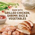 Healthy Choice Café Steamers CajunStyle Chicken & Shrimp Frozen Meal