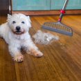 thumbnail image 4 of Heavy Duty Square Spin Mop for Floor Cleaning, Separate Compartment for Clean and Dirty Water, Use Any Cleaning Solution, Self Cleaning, Machine Washable Pads, 4 of 8