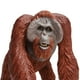 thumbnail image 2 of Figura de juguete Safari Ltd., orangután de Borneo, 13 cm, plástico, más de 3 años, 2 of 8