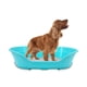 thumbnail image 1 of KE WOOW Cama Chica para Perro, Gato, Conejo y otras Mascotas, Cesta de Plástico, Incluye Colchón Doble Cara, Color Verde KE WOOW Cama Plana con colchón Chica, 1 of 10