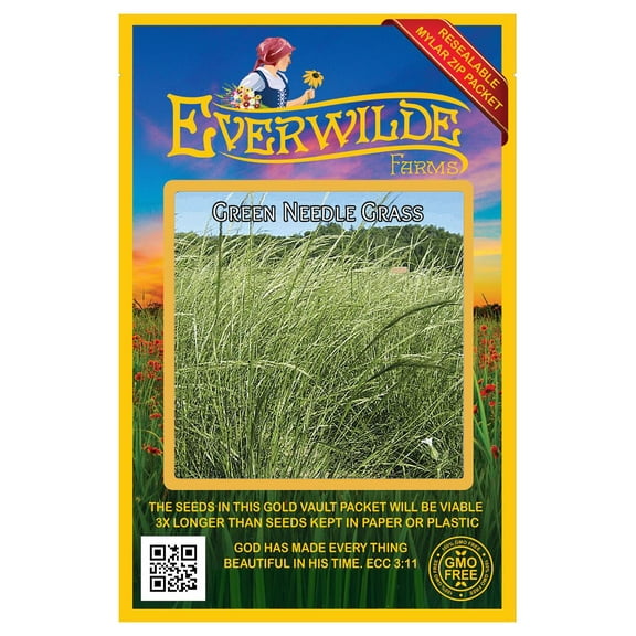 Everwilde Farms - 500 Green Needle Grass Native Grass Seeds - Gold Vault Jumbo Bulk Seed Packet