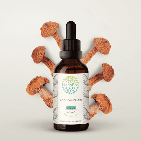 HerbEra Agaricus Blazei Tincture, Herbal Dietary Supplement for Immune and Vitality Support, Agaricus blazei (Agaricus blazei murill) Dried Mushroom Extract, Natural, Alcohol Tincture, Drops 2 oz