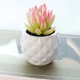 thumbnail image 4 of 3 uds simulación de planta suculenta en maceta decoración creativa piña cerámica bonsái decoración interior plantas verdes artificiales, 4 of 5