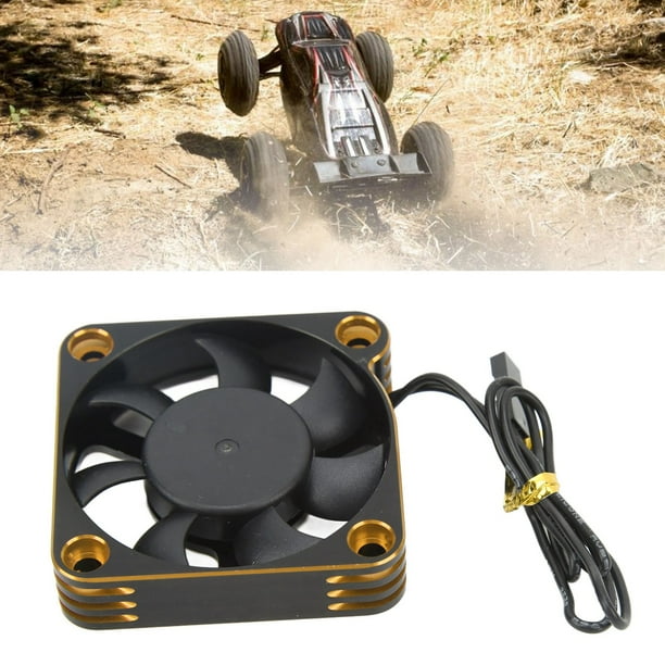 Radio controlled best sale cooler