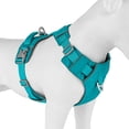 thumbnail image 3 of Beirui Reflective No Pull Dog Harness Waterproof Oxford Vets Adjustable with Handle, 3 of 13