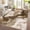 Camel, variant on Anoncndin Large 8x10 Washable Rugs for Living Room Abstract Rug Marble Patterned Carpet,Low-Pile Non Slip Easy Cleaning Rug Neutral Modern Carpet for Bedroom Dining Room Farmhouse Office