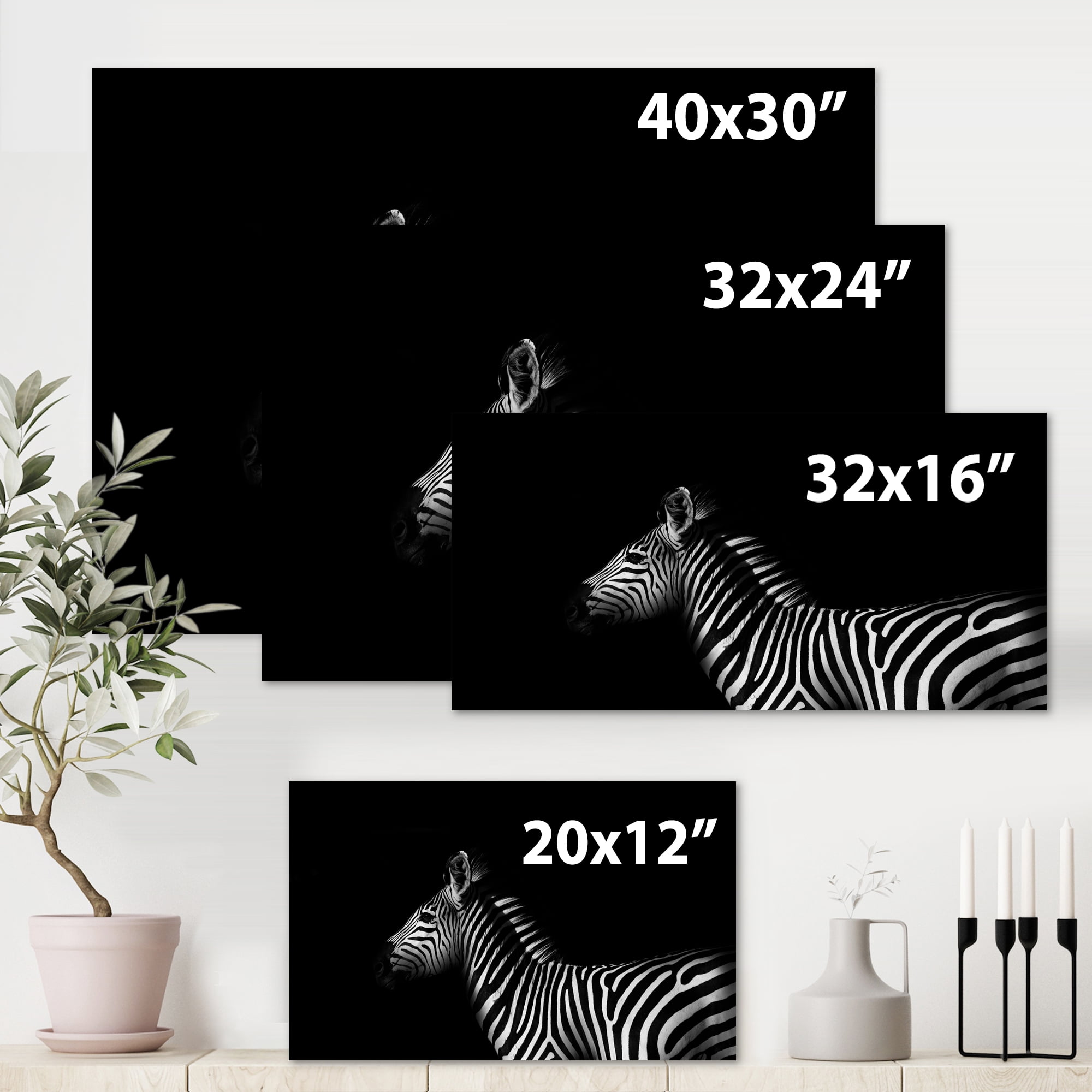 Designart ' Sideview Of Zebra In White and Black ' Farmhouse Canvas Wall Art Print