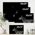 thumbnail image 4 of Designart ' Sideview Of Zebra In White and Black ' Farmhouse Canvas Wall Art Print, 4 of 4