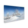 thumbnail image 3 of Trademark Fine Art "Dressed For Winter" Canvas Art by Philippe Sainte-Laudy, 3 of 4