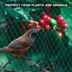 thumbnail image 3 of Garden Bird Net 13 X 33 Pies Resistente A Las Aves Protección Verde Frutas Y Verduras Reutilizable,11 Feliz Sencillez, 3 of 4