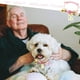 thumbnail image 4 of Cat Anti-Flea And Lice Collar Yellow S, 4 of 4