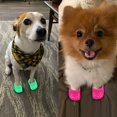 thumbnail image 2 of 2 pares de zapatillas de verano para perros, zapatos transpirables de malla para mascotas (rojo + rosa), 2 of 5