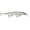Ghost Shiner, variant on Rapala Shadow Rap Deep Jerkbait 11 Bone