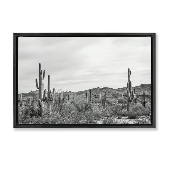 Stupell Industries Sonoran Desert Wonderland Landscape & Nature Photography Black Floater Framed Canvas Art Print Wall Art, 25 x 17