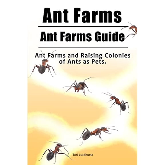 Pre-Owned Ant Farms. Ant Farms Guide. Ant Farms and Raising Colonies of Ants as Pets. (Paperback) 1788650085 9781788650083