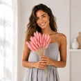 thumbnail image 6 of chaungfeng 17" Artificial Bunny Tails Dried Flowers, 20 Pcs Faux Dried Lagurus Ovatus, Dried Pink Pampas Grass Decor for Farmhouse Flower Arrangements Wedding Home Boho Party Decorations, 6 of 8
