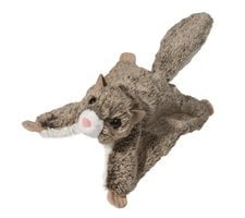 Flying Squirrel