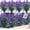 Purple, variant on 20 Bundles Artificial Flowers for Outdoor Summer Decoration, UV Resistant Faux Outsides Plastic Greenery Shrubs Artificial Plants Fake Flowers Planter Home Cemetery Decor(White)