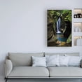 thumbnail image 3 of Trademark Fine Art 'Corkscrew Falls Ohio' Canvas Art by Alan Majchrowicz, 3 of 3