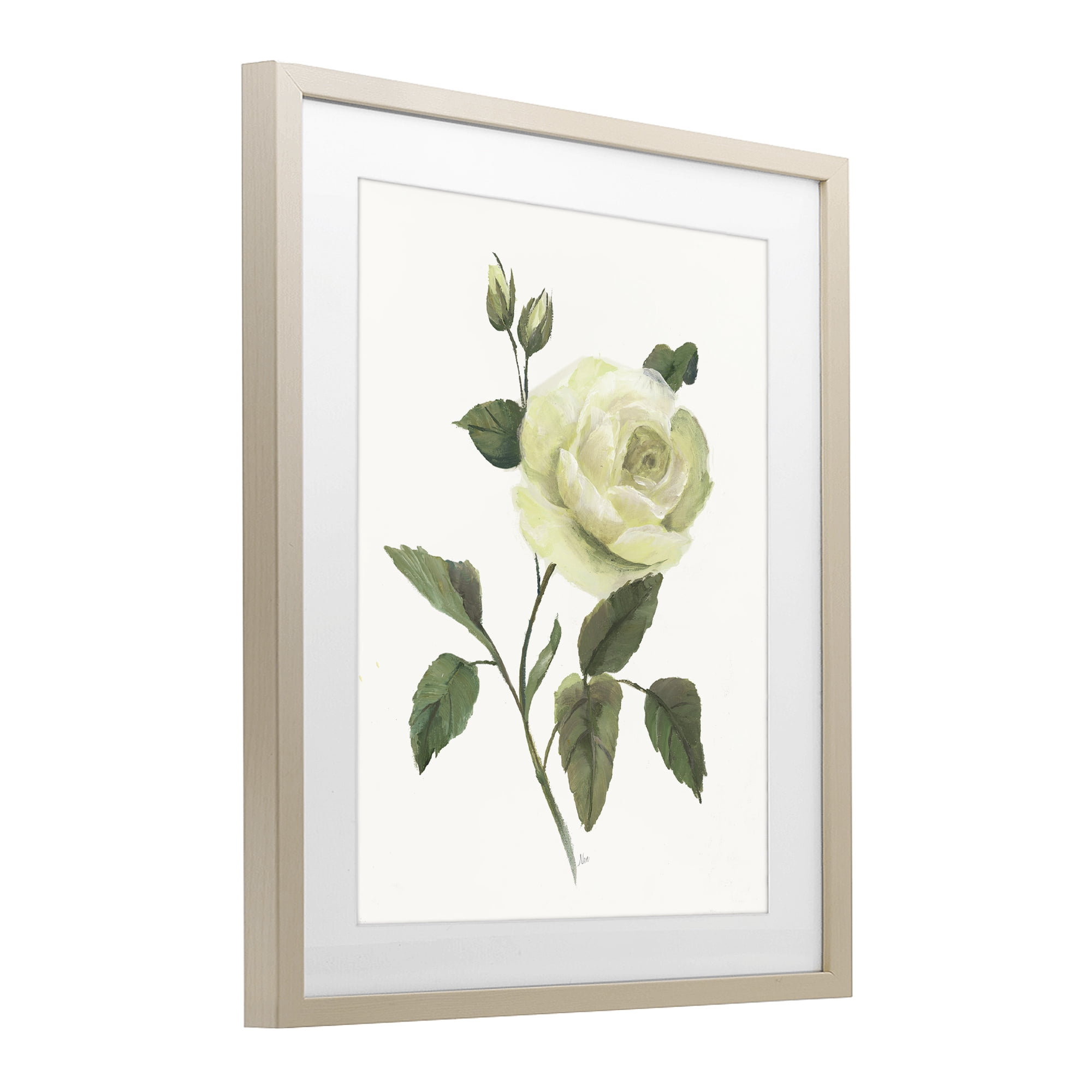 Stupell Industries Cream Garden Rose with Buds Birch Framed Print Under Glass, design by Nan