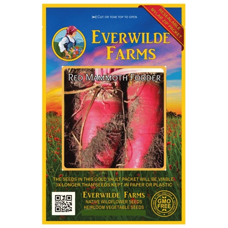 Everwilde Farms - 50 Red Mammoth Fodder Beet Seeds - Gold Vault Jumbo Bulk Seed (Best Turnip Seed For Deer)