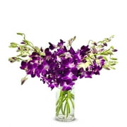 From You Flowers - Purple Dendrobium Orchids - Deluxe (Fresh Flowers) Birthday, Anniversary, Sympathy, All Occasion