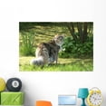 thumbnail image 1 of Cat Maine Coon Walk Wall Mural by Wallmonkeys Peel and Stick Graphic (48 in W x 32 in H) WM49604, 1 of 4