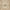 Dark Brown/Multi, variant on SAFAVIEH Paradise Dorothea Floral Area Rug, Dark Brown/Multi, 8' x 11'2"