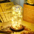 thumbnail image 4 of leyfeng Lámina de oro Rose Flower String Light Glass Cover con perla Decoración del hogar Night Light Valentine's, 4 of 8