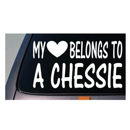 Chesapeake Bay Retriever Sticker - My heart belongs to a Chessie *D969* sticker decal chesapeake bay retriever