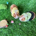 thumbnail image 3 of VOLOBE 5 Inches Silicone Hamster, Realistic Silicone Guinea as Silicone Piglet Companion with Sleeping Pad Accessories for Kids Boy Girl Birthday Handmade Gift (Brown Hamster), 3 of 8