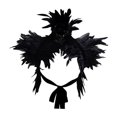 thumbnail image 2 of Capa de plumas artificiales, capa creativa, chal de Halloween, encogimiento de hombros para mujer, carnaval Negro, 2 of 9