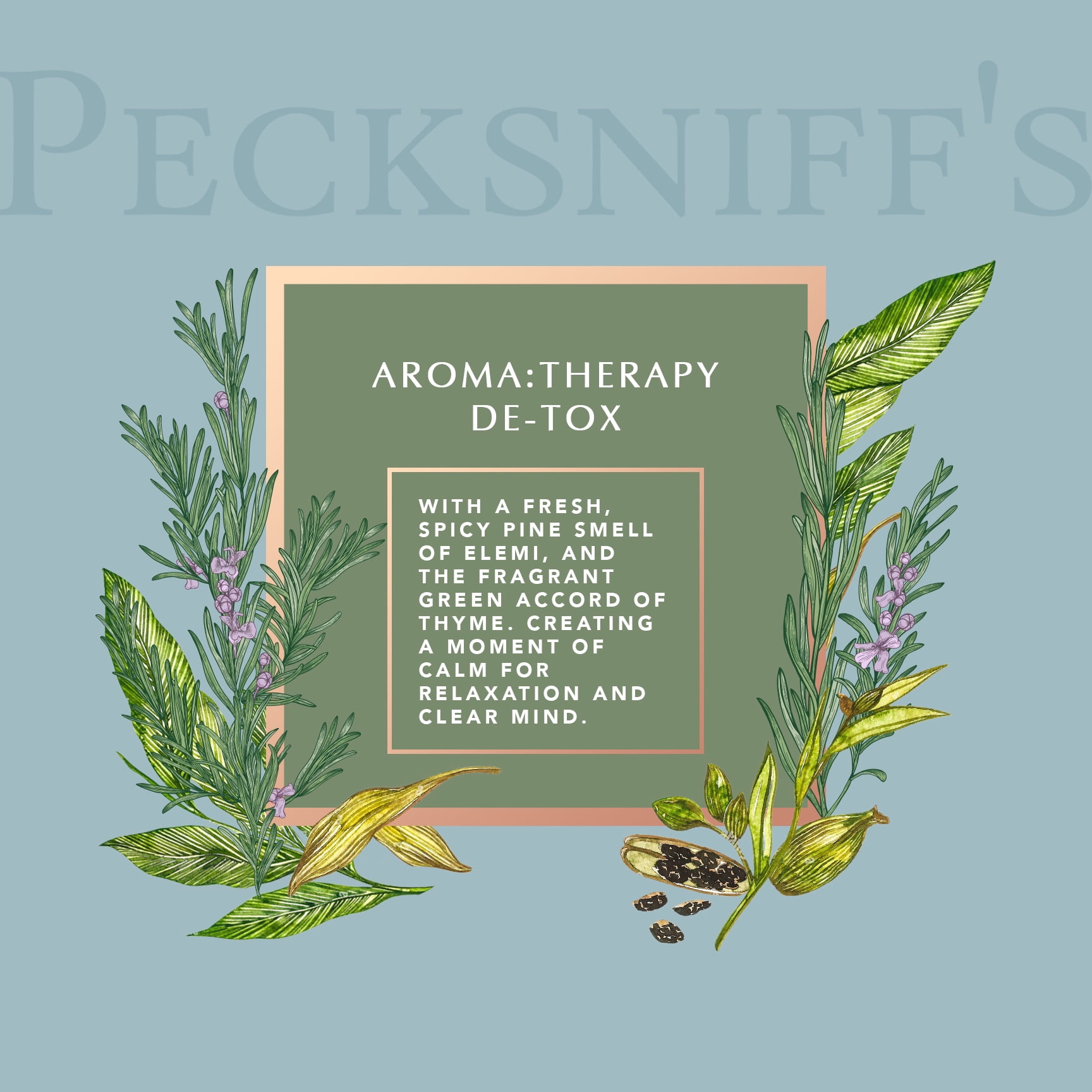 Pecksniff's Aromatherapy De-Tox scented hand wash, 500 ml, 16.9 fl oz